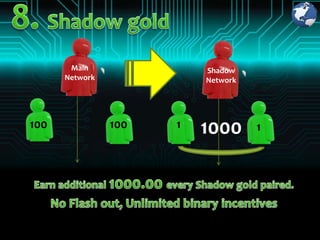 Main               Shadow
      Network             Network




100             100   1   1000      1
 
