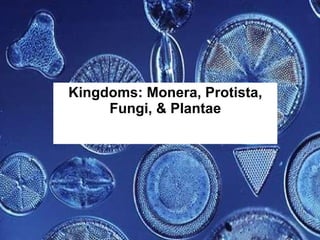 Kingdoms: Monera, Protista, Fungi, & Plantae 