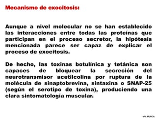 Mecanismo de exocitosis:


Aunque a nivel molecular no se han establecido
las interacciones entre todas las proteínas que
...