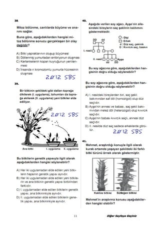 11 DDDDiiiiğğğeeeerrrr SSSSaaaayyyyffffaaaayyyyaaaa GGGGeeeeçççiiiinnnniiiizzzz 
33338888. 
33339999.... 
44440000.... 
44441111.... 
 
