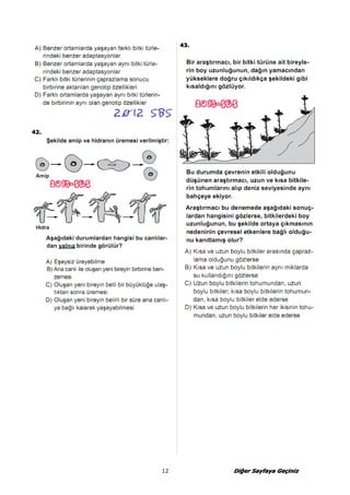 12 DDDDiiiiğğğeeeerrrr SSSSaaaayyyyffffaaaayyyyaaaa GGGGeeeeçççiiiinnnniiiizzzz 
44442222.... 
44443333.... 
 