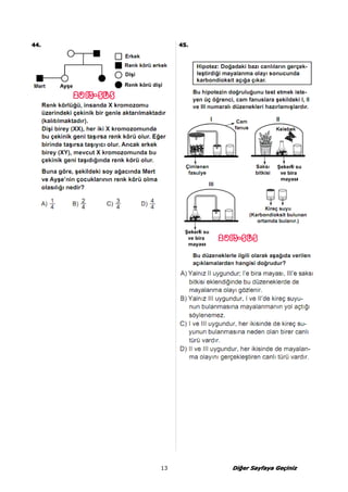 44444444.... 44445555.... 
13 DDDDiiiiğğğeeeerrrr SSSSaaaayyyyffffaaaayyyyaaaa GGGGeeeeçççiiiinnnniiiizzzz 
 