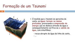 Formação de um Tsunami
46




               À medida que o tsunami se aproxima da
               costa, as águas tornam-se menos
               profundas, provocando a compressão da
               energia que se desloca através da água e
               consequentemente verifica-se a subida da
               água, com simultâneo:
                - recuo abrupto da água da linha de costa,
                -…
 