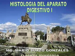 MG. MARIO SUAZO GONZALES HISTOLOGIA DEL APARATO DIGESTIVO I PLAZA DE HUAMANGA 