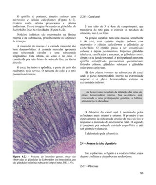 126
O epitélio é, portanto, simples colunar com
microvilos e células caliciformes (Figura 8.17).
Contém ainda células precursoras e células
endócrinas. Ele se invagina formando as glândulas de
Lieberkühn. Não há vilosidades (Figura 8.22).
Nódulos linfáticos são encontrados na lâmina
própria e na submucosa, principalmente no apêndice
de crianças.
A muscular da mucosa e a camada muscular são
bem desenvolvidas. A camada muscular apresenta
uma subcamada circular e uma subcamada
longitudinal. Esta última, no ceco e no colo, é
constituída por três faixas de músculo liso, as tênias
do colo.
O ceco, inclusive o apêndice, e parte do colo são
recobertos pela serosa. O restante do colo e o reto
possuem adventícia.
Figura 8.22 - Mucosa do intestino grosso, onde são
observadas as glândulas de Lieberkühn (ou intestinais), que
são glândulas exócrinas tubulares simples retas. HE. 137x.
2.3.6  Canal anal
É um tubo de 3 a 4cm de comprimento, que
transporta do reto para o exterior os resíduos do
alimento, isto é, as fezes.
Na porção superior, tem uma mucosa semelhante
à do reto, com epitélio simples colunar com
microvilos e células caliciformes e glândulas de
Lieberkühn. O epitélio passa a ser estratificado
colunar e depois pavimentoso. Pequenas glândulas
tubulares, ramificadas e mucosas, as glândulas anais,
abrem-se na junção retoanal. A pele perianal apresenta
epitélio estratificado pavimentoso queratinizado,
folículos pilosos, glândulas sebáceas e glândulas
sudoríparas apócrinas.
Há dois plexos venosos na submucosa do canal
anal: o plexo hemorroidário interno na extremidade
superior e o plexo hemorroidário externo na
extremidade inferior.
As hemorroidas resultam da dilatação das veias do
plexo hemorroidário interno. Sua ocorrência está
relacionada a uma predisposição genética, a hábitos
alimentares e à obesidade.
O diâmetro do canal anal é controlado pelos
esfíncteres anais interno e externo. O primeiro é um
espessamento da subcamada circular de músculo liso e
responde à distensão do reservatório retal. O segundo
é composto por músculo estriado esquelético e está
sob controle voluntário.
É delimitado pela adventícia.
2.4  Anexos do tubo digestório
São o pâncreas, o fígado e a vesícula biliar, cujos
ductos confluem e desembocam no duodeno.
2.4.1  Pâncreas
 