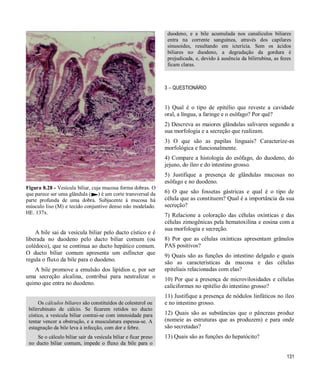 131
Figura 8.28 - Vesícula biliar, cuja mucosa forma dobras. O
que parece ser uma glândula ( ) é um corte transversal da
parte profunda de uma dobra. Subjacente à mucosa há
músculo liso (M) e tecido conjuntivo denso não modelado.
HE. 137x.
A bile sai da vesícula biliar pelo ducto cístico e é
liberada no duodeno pelo ducto biliar comum (ou
colédoco), que se continua ao ducto hepático comum.
O ducto biliar comum apresenta um esfíncter que
regula o fluxo da bile para o duodeno.
A bile promove a emulsão dos lipídios e, por ser
uma secreção alcalina, contribui para neutralizar o
quimo que entra no duodeno.
Os cálculos biliares são constituídos de colesterol ou
bilirrubinato de cálcio. Se ficarem retidos no ducto
cístico, a vesícula biliar contrai-se com intensidade para
tentar vencer a obstrução, e a musculatura espessa-se. A
estagnação da bile leva à infecção, com dor e febre.
Se o cálculo biliar sair da vesícula biliar e ficar preso
no ducto biliar comum, impede o fluxo da bile para o
duodeno, e a bile acumulada nos canalículos biliares
entra na corrente sanguínea, através dos capilares
sinusoides, resultando em icterícia. Sem os ácidos
biliares no duodeno, a degradação da gordura é
prejudicada, e, devido à ausência da bilirrubina, as fezes
ficam claras.
3  QUESTIONÁRIO
1) Qual é o tipo de epitélio que reveste a cavidade
oral, a língua, a faringe e o esôfago? Por quê?
2) Descreva as maiores glândulas salivares segundo a
sua morfologia e a secreção que realizam.
3) O que são as papilas linguais? Caracterize-as
morfológica e funcionalmente.
4) Compare a histologia do esôfago, do duodeno, do
jejuno, do íleo e do intestino grosso.
5) Justifique a presença de glândulas mucosas no
esôfago e no duodeno.
6) O que são fossetas gástricas e qual é o tipo de
célula que as constituem? Qual é a importância da sua
secreção?
7) Relacione a coloração das células oxínticas e das
células zimogênicas pela hematoxilina e eosina com a
sua morfologia e secreção.
8) Por que as células oxínticas apresentam grânulos
PAS positivos?
9) Quais são as funções do intestino delgado e quais
são as características da mucosa e das células
epiteliais relacionadas com elas?
10) Por que a presença de microvilosidades e células
caliciformes no epitélio do intestino grosso?
11) Justifique a presença de nódulos linfáticos no íleo
e no intestino grosso.
12) Quais são as substâncias que o pâncreas produz
(nomeie as estruturas que as produzem) e para onde
são secretadas?
13) Quais são as funções do hepatócito?
 