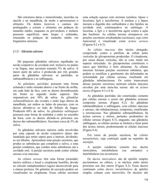 114
São estruturas duras e mineralizadas, inseridas na
maxila e na mandíbula, de modo a aprisionarem o
alimento. Os dentes incisivos e caninos são
pontiagudos e cortam o alimento em pedaços de
tamanho médio, enquanto os pré-molares e molares
possuem superfícies mais largas e achatadas,
triturando os pedaços de tamanho médio em
fragmentos menores.
2.1.2  Glândulas salivares
Há pequenas glândulas salivares espalhadas no
tecido conjuntivo da cavidade oral, inclusive no palato
e na língua, mas secretam somente 5% da saliva. A
maior parte da saliva é produzida por três grandes
pares de glândulas salivares: as parótidas, as
submandibulares e as sublinguais.
As glândulas parótidas possuem uma forma
achatada e estão situadas abaixo e na frente da orelha,
em cada lado da face, com os ductos desembocando
em frente ao segundo molar superior. São
responsáveis por 30% da saliva. As glândulas
submandibulares são ovoides e estão logo abaixo da
mandíbula, em ambos os lados do pescoço, com os
ductos abrindo-se ao lado do frênulo da língua.
Produzem 60% da saliva. As glândulas sublinguais
possuem uma forma de amêndoa e estão no assoalho
da boca, com os ductos abrindo-se próximos aos
ductos das submandibulares. Secretam cerca de 5% da
saliva.
As glândulas salivares maiores estão envolvidas
por uma cápsula de tecido conjuntivo denso não
modelado que emite septos para o interior, dividindo-
as em lóbulos. Apresentam uma porção secretora, que
produz as substâncias que compõem a saliva, e uma
porção condutora, que conduz estas substâncias até a
cavidade oral. A porção secretora pode conter células
serosas e/ou mucosas.
As células serosas têm uma forma piramidal,
núcleo esférico e basal e citoplasma basófilo, devido
ao retículo endoplasmático rugoso desenvolvido para
a síntese proteica. Os grânulos de secreção podem ser
visualizados no citoplasma. Essas células secretam
uma solução aquosa com enzimas (amilase, lipase e
lisozima), IgA e lactoferrina. A amilase e a lipase
iniciam a digestão dos carboidratos e dos lipídios na
cavidade oral, continuando-a no estômago. A
lisozima, a IgA e a lactoferrina agem contra a ação
das bactérias. As células serosas arranjam-se em
porções secretoras arredondadas (acinosas), cujo corte
transversal é visualizado como ácinos serosos
(Figuras 8.2 e 8.3).
As células mucosas têm núcleo alongado,
comprimido contra a periferia da célula pelas
vesículas de glicoproteínas produzidas. O citoplasma,
por causa dessas vesículas, não se cora, tendo um
aspecto reticulado. As glicoproteínas constituem o
muco que lubrifica o bolo alimentar. As células
mucosas formam porções secretoras tubulares, que
podem se ramificar e geralmente são delimitadas na
extremidade por células serosas, resultando em
glândulas tubuloacinosas. Os cortes transversais
dessas porções secretoras mostram células mucosas
envoltas por uma meia-lua serosa: são os ácinos
mistos (Figuras 8.3 e 8.4).
As glândulas parótidas são constituídas somente
por células serosas e assim são glândulas acinosas
compostas serosas (Figura 8.2). As glândulas
submandibulares e sublinguais, com células mucosas
e serosas, são tubuloacinosas, compostas, ramificadas
e seromucosas. Nas glândulas submandibulares, há
ácinos serosos e mistos, portanto, predomínio de
células serosas (Figura 8.3), enquanto, nas glândulas
sublinguais, as células serosas se limitam a fazer parte
dos ácinos mistos, predominando as células mucosas
(Figura 8.4).
Em torno da porção secretora, há células
mioepiteliais, cuja contração ajuda na expulsão da
secreção.
A porção condutora consiste nos ductos
intercalares, intralobulares (ou estriados) e
interlobulares (ou excretores).
Os ductos intercalares são de epitélio simples
pavimentoso ou cúbico, e os núcleos estão muito
próximos uns dos outros (Figura 8.2). Esses ductos
continuam como ductos intralobulares de epitélio
simples colunar com microvilos. Os núcleos são
 