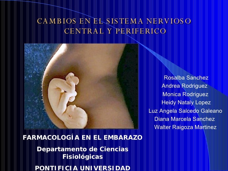 8 Sistema Nervioso Central Y Periferico En El Embarazo