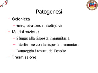 Patogenesi
• Colonizza
  – entra, aderisce, si moltiplica
• Moltiplicazione
  – Sfugge alla risposta immunitaria
  – Interferisce con la risposta immunitaria
  – Danneggia i tessuti dell’ospite
• Trasmissione
 