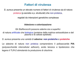 Fattori di virulenza
  S. aureus presenta un elevato numero di fattori di virulenza sia di natura
            proteica (p.secrete e p. strutturali) che non proteica,

                regolati da interazioni genetiche complesse


                        Adesione e colonizzazione

              Gli Stafilococchi possono aderire sia a superfici
di natura artificiale che biologica (proteine della matrice extracellulare e del
                          plasma e le cellule epiteliali)

S. aureus presenta una varietà di adesine: non proteiche e proteiche

Le adesine di natura non proteica comprendono il polisaccaride PIA
(polysaccharide intercellular adhesin), acido teicoico e lipoteicoico che
legano il TLR-2 stimolando la produzione di citochine
 