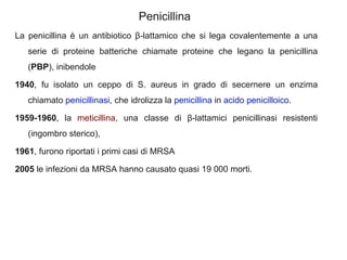 Penicillina
La penicillina è un antibiotico β-lattamico che si lega covalentemente a una
   serie di proteine batteriche chiamate proteine che legano la penicillina
   (PBP), inibendole

1940, fu isolato un ceppo di S. aureus in grado di secernere un enzima
   chiamato penicillinasi, che idrolizza la penicillina in acido penicilloico.

1959-1960, la meticillina, una classe di β-lattamici penicillinasi resistenti
   (ingombro sterico),

1961, furono riportati i primi casi di MRSA

2005 le infezioni da MRSA hanno causato quasi 19 000 morti.
 
