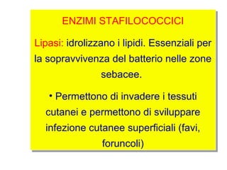 ENZIMI STAFILOCOCCICI

Lipasi: idrolizzano i lipidi. Essenziali per
la sopravvivenza del batterio nelle zone
                sebacee.

   • Permettono di invadere i tessuti
  cutanei e permettono di sviluppare
  infezione cutanee superficiali (favi,
                foruncoli)
 