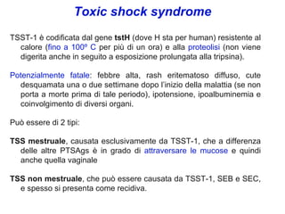 Toxic shock syndrome
TSST-1 è codificata dal gene tstH (dove H sta per human) resistente al
  calore (fino a 100º C per più di un ora) e alla proteolisi (non viene
  digerita anche in seguito a esposizione prolungata alla tripsina).

Potenzialmente fatale: febbre alta, rash eritematoso diffuso, cute
  desquamata una o due settimane dopo l’inizio della malattia (se non
  porta a morte prima di tale periodo), ipotensione, ipoalbuminemia e
  coinvolgimento di diversi organi.

Può essere di 2 tipi:

TSS mestruale, causata esclusivamente da TSST-1, che a differenza
  delle altre PTSAgs è in grado di attraversare le mucose e quindi
  anche quella vaginale

TSS non mestruale, che può essere causata da TSST-1, SEB e SEC,
  e spesso si presenta come recidiva.
 