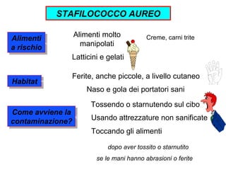 STAFILOCOCCO AUREO

Alimenti          Alimenti molto          Creme, carni trite
a rischio           manipolati
              Latticini e gelati

              Ferite, anche piccole, a livello cutaneo
Habitat
                     Naso e gola dei portatori sani

                       Tossendo o starnutendo sul cibo
Come avviene la
contaminazione?        Usando attrezzature non sanificate
                       Toccando gli alimenti

                            dopo aver tossito o starnutito
                        se le mani hanno abrasioni o ferite
 
