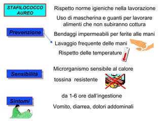 STAFILOCOCCO   Rispetto norme igieniche nella lavorazione
   AUREO
                Uso di mascherina e guanti per lavorare
                  alimenti che non subiranno cottura
Prevenzione    Bendaggi impermeabili per ferite alle mani
               Lavaggio frequente delle mani
                 Rispetto delle temperature

               Microrganismo sensibile al calore
 Sensibilità
               tossina resistente


                  da 1-6 ore dall’ingestione
Sintomi
               Vomito, diarrea, dolori addominali
 