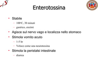 Enterotossina
• Stabile
   – 100oC, 30 minuti
   – gastrico, enzimi
• Agisce sul nervo vago e localizza nello stomaco
• Stimola vomito acuto
   – 1-5 hr
   – Veloce come una neurotossina
• Stimola la peristalsi intestinale
   – diarrea
 