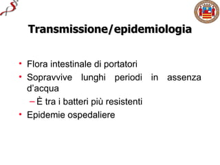 Transmissione/epidemiologia


• Flora intestinale di portatori
• Sopravvive lunghi periodi in assenza
  d’acqua
   – È tra i batteri più resistenti
• Epidemie ospedaliere
 
