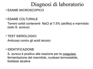 Diagnosi di laboratorio
• ESAME MICROSCOPICO

• ESAME COLTURALE
 Terreni solidi contenenti NaCl al 7,5% (alofilia) e mannitolo
 (solo S. aureus)

• TEST SIEROLOGICI
 Anticorpi contro gli acidi teicoici

• IDENTIFICAZIONE
 S. aureus è positivo alla reazione per la coagulasi,
 fermentazione del mannitolo, nucleasi termostabile,
 fosfatasi alcalina
 