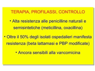 TERAPIA, PROFILASSI, CONTROLLO

   • Alta resistenza alle penicilline naturali e
     semisintetiche (meticillina, oxacillina)

• Oltre il 50% degli isolati ospedalieri manifesta
 resistenza (beta lattamasi e PBP modificate)

      • Ancora sensibili alla vancomicina
 