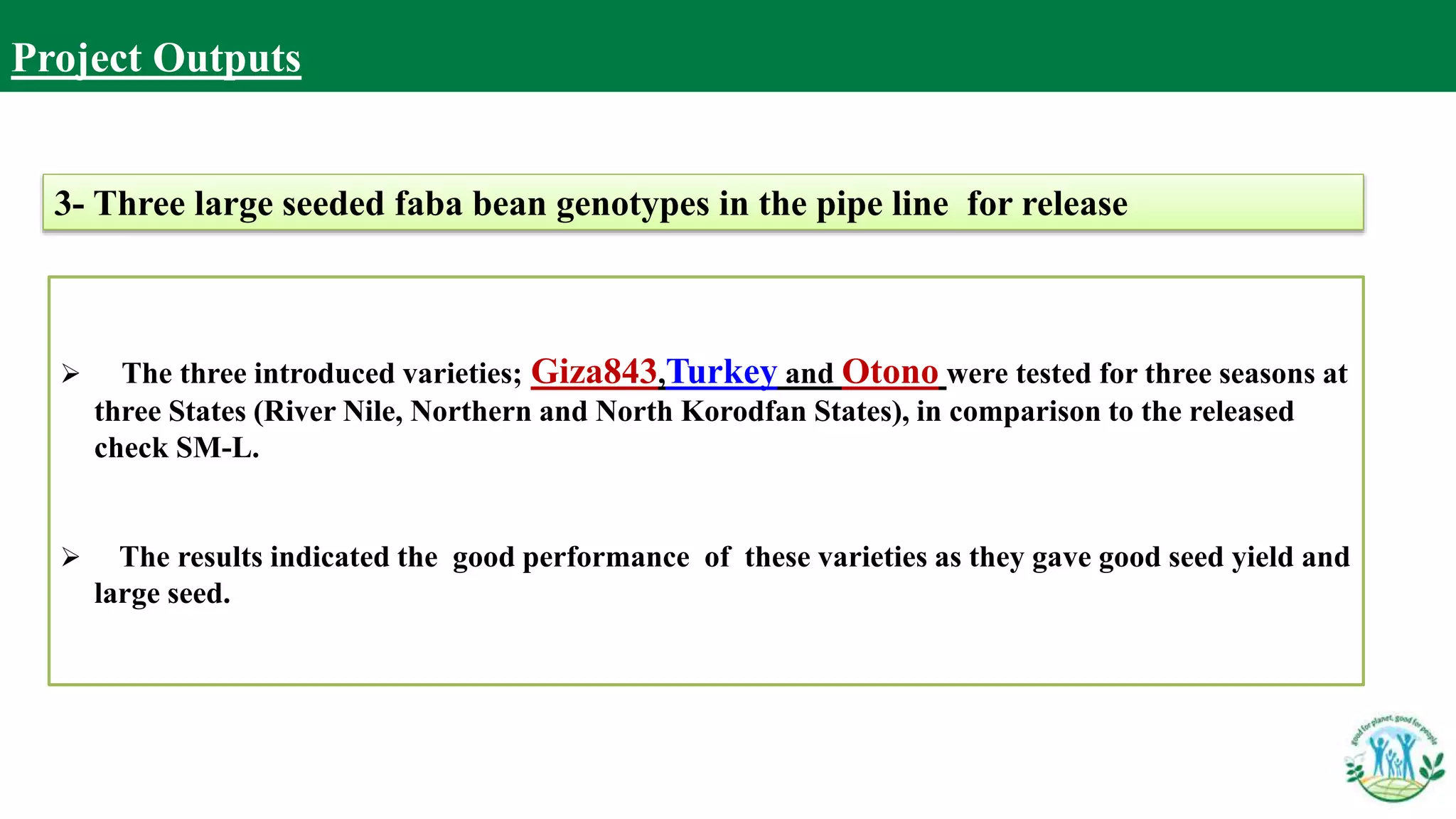 3- Three large seeded faba bean genotypes in the pipe line for release
 The three introduced varieties; Giza843,Turkey and Otono were tested for three seasons at
three States (River Nile, Northern and North Korodfan States), in comparison to the released
check SM-L.
 The results indicated the good performance of these varieties as they gave good seed yield and
large seed.
Project Outputs
 