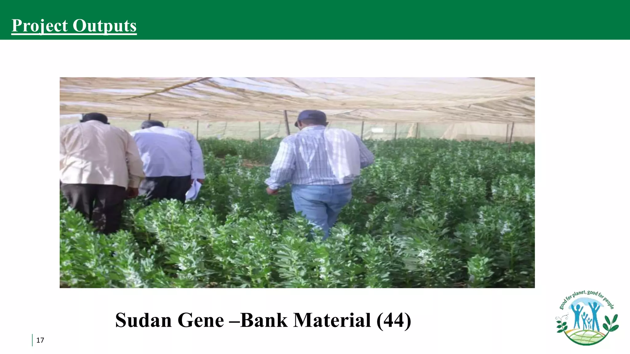 17
Sudan Gene –Bank Material (44)
Project Outputs
 