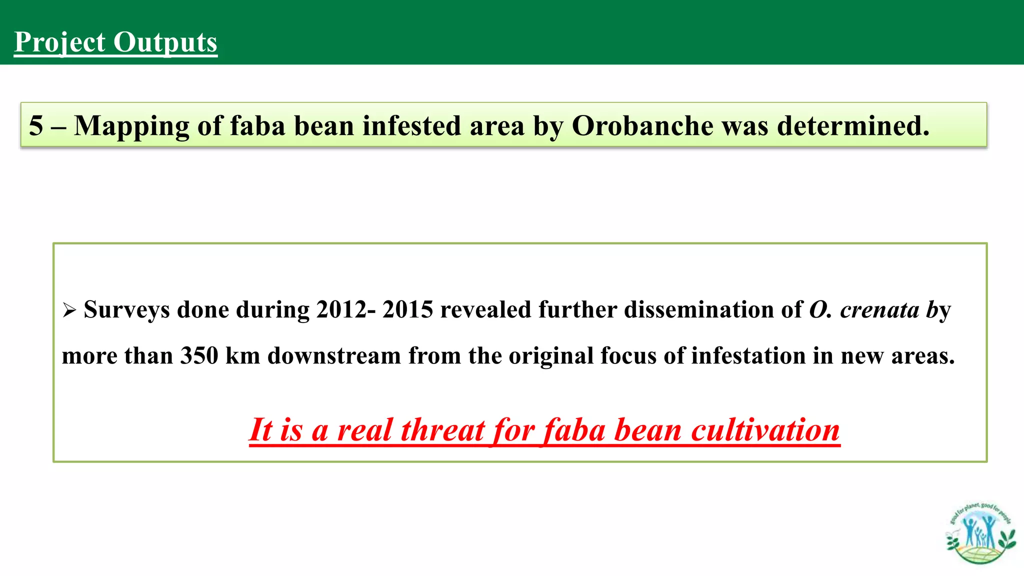  Surveys done during 2012- 2015 revealed further dissemination of O. crenata by
more than 350 km downstream from the original focus of infestation in new areas..
It is a real threat for faba bean cultivation
5 – Mapping of faba bean infested area by Orobanche was determined.
Project Outputs
 