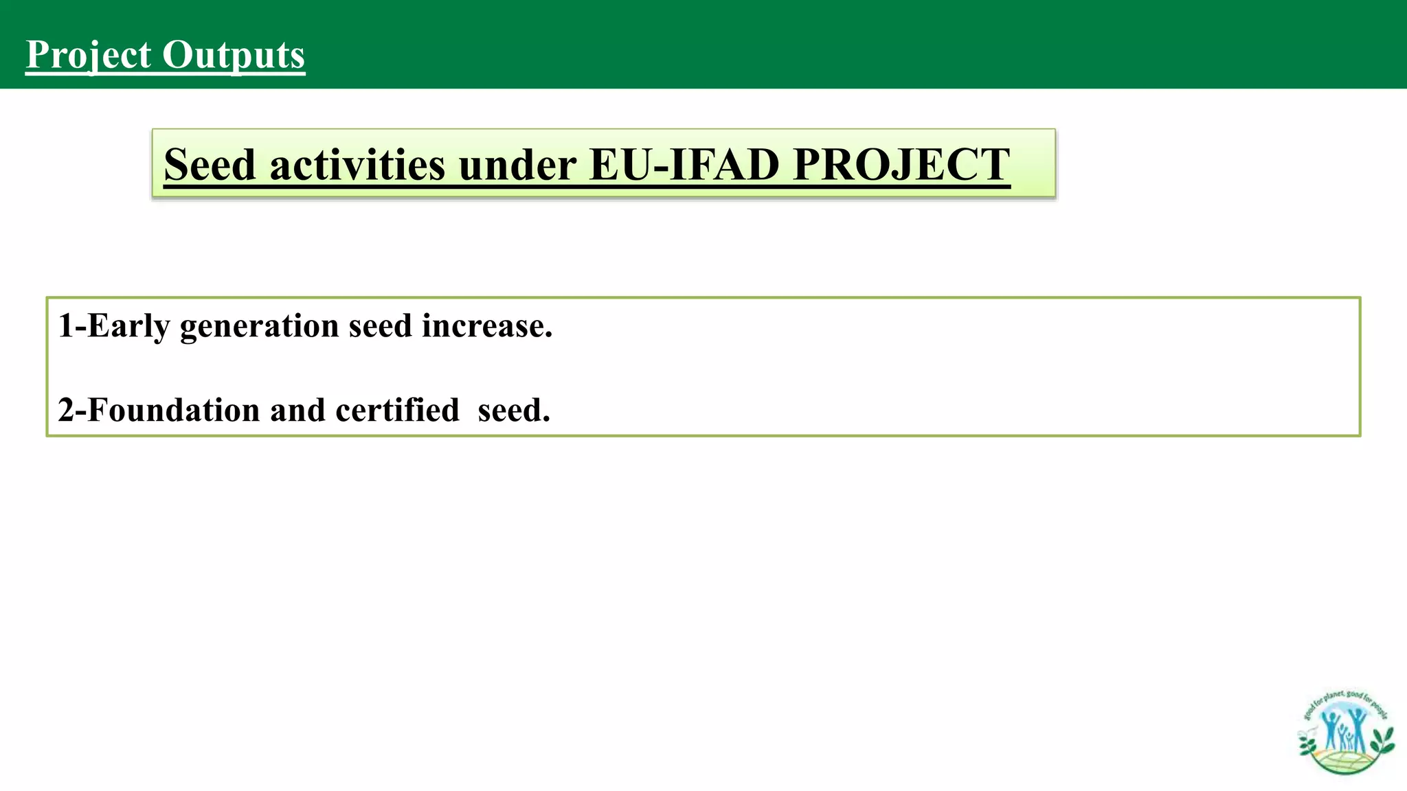 1-Early generation seed increase.
2-Foundation and certified seed.
Project Outputs
Seed activities under EU-IFAD PROJECT
 