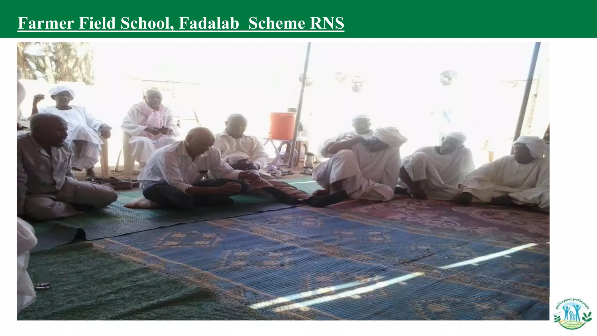 Farmer Field School, Fadalab Scheme RNS
 