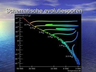 Schematische evolutiesporenSchematische evolutiesporen
 
