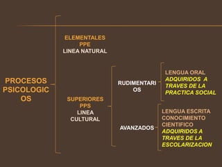 PROCESOS
PSICOLOGIC
OS
ELEMENTALES
PPE
LINEA NATURAL
SUPERIORES
PPS
LINEA
CULTURAL
RUDIMENTARI
OS
AVANZADOS
LENGUA ORAL
ADQUIRIDOS A
TRAVES DE LA
PRACTICA SOCIAL
LENGUA ESCRITA
CONOCIMIENTO
CIENTIFICO
ADQUIRIDOS A
TRAVES DE LA
ESCOLARIZACION
 