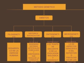 METODO GENETICO
AMBITOS
FILOGENETI
CO
HISTORICO
SOCIOCULTUR
AL
ONTOGENETI
CO
MICROGENETI
CO
DESARROL
LO DE LA
ESPECIE
HUMANA
ES EL QUE
ENGENDRA
SISTEMAS
ARTIFICIALES
COMPLEJOS
Y
ARBITRARIOS
QUE
REGULAN LA
CONDUCTA
SOCIAL
REPRESENT
A EL PUNTO
DE
ENCUENTR
O DE LA
EVOLUCION
BIOLOGICA
Y
SOCIOCULT
URAL
DESARROL
LO DE
ASPECTOS
ESPECIFICO
S DEL
REPERTORI
O
PSICOLOGI
CO DE LOS
SUJETOS
 