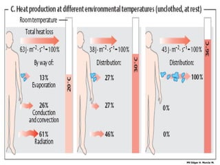 MV Edgar H. Murcia M.
 