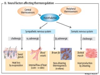 MV Edgar H. Murcia M.
 