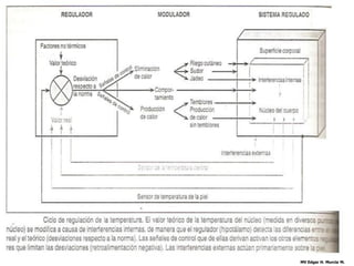 MV Edgar H. Murcia M.
 