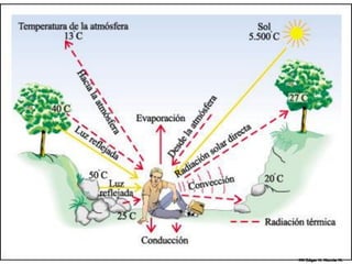 MV Edgar H. Murcia M.
 