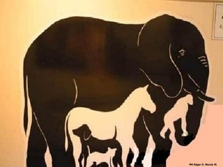 MV Edgar H. Murcia M.
 