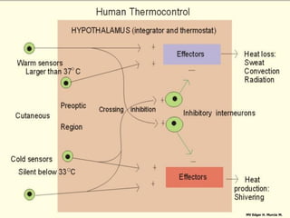 MV Edgar H. Murcia M.
 