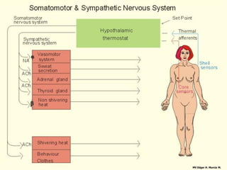 MV Edgar H. Murcia M.
 