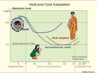 MV Edgar H. Murcia M.
 