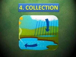 8. THE WATER CYCLE (Science 1º Primaria) 3rd TERM | PPTX