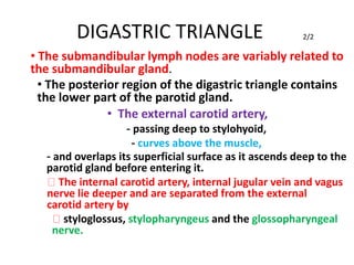 DIGASTRIC TRIANGLE 2/2
• The submandibular lymph nodes are variably related to
the submandibular gland.
• The posterior region of the digastric triangle contains
the lower part of the parotid gland.
• The external carotid artery,
- passing deep to stylohyoid,
- curves above the muscle,
- and overlaps its superficial surface as it ascends deep to the
parotid gland before entering it.
The internal carotid artery, internal jugular vein and vagus
nerve lie deeper and are separated from the external
carotid artery by
styloglossus, stylopharyngeus and the glossopharyngeal
nerve.
 