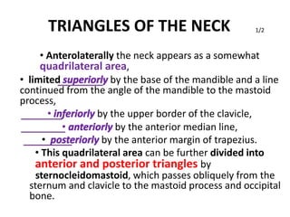 TRIANGLES OF THE NECK 1/2
• Anterolaterally the neck appears as a somewhat
quadrilateral area,
• limited superiorly by the base of the mandible and a line
continued from the angle of the mandible to the mastoid
process,
• inferiorly by the upper border of the clavicle,
• anteriorly by the anterior median line,
• posteriorly by the anterior margin of trapezius.
• This quadrilateral area can be further divided into
anterior and posterior triangles by
sternocleidomastoid, which passes obliquely from the
sternum and clavicle to the mastoid process and occipital
bone.
 