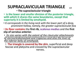 SUPRACLAVICULAR TRIANGLE
• The supraclavicular triangle
1/3
• is the lower and smaller division of the posterior triangle,
with which it shares the same boundaries, except that
superiorly it is limited by omohyoid.
• It corresponds in the living neck with the lower part of a deep,
prominent hollow, namely, the greater supraclavicular foss
• Its floor contains the first rib, scalenus medius and the first
slip of serratus anterior.
• Its size varies with the extent of the clavicular attachments
of sternocleidomastoid and trapezius and also the level of
the inferior belly of omohyoid.
• The triangle is covered by the skin, superficial and deep
fasciae and platysma and crossed by the supraclavicular
nerves.
 