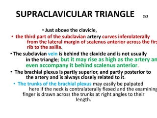 SUPRACLAVICULAR TRIANGLE
• Just above the clavicle,
2/3
• the third part of the subclavian artery curves inferolaterally
from the lateral margin of scalenus anterior across the firs
rib to the axilla.
• The subclavian vein is behind the clavicle and is not usually
in the triangle; but it may rise as high as the artery an
even accompany it behind scalenus anterior.
• The brachial plexus is partly superior, and partly posterior to
the artery and is always closely related to it.
• The trunks of the brachial plexus may easily be palpated
here if the neck is contralaterally flexed and the examining
finger is drawn across the trunks at right angles to their
length.
 