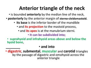 Anterior triangle of the neck
• is bounded anteriorly by the median line of the neck,
• posteriorly by the anterior margin of sterno-cleidomastoid.
• Its base is the inferior border of the mandible
• and its projection to the mastoid process,
• and its apex is at the manubrium sterni.
• It can be subdivided into;
• suprahyoid and infrahyoid areas above and below the
hyoid bone,
• and into
• digastric, submental, muscular and carotid triangles
by the passage of digastric and omohyoid across the
anterior triangle
 