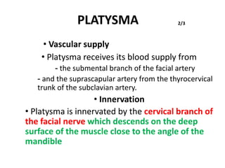 PLATYSMA
• Vascular supply
2/3
• Platysma receives its blood supply from
- the submental branch of the facial artery
- and the suprascapular artery from the thyrocervical
trunk of the subclavian artery.
• Innervation
• Platysma is innervated by the cervical branch of
the facial nerve which descends on the deep
surface of the muscle close to the angle of the
mandible
 