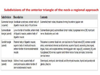 Subdivisions of the anterior triangle of the neck-a regional approach
 