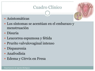 Cuadro Clínico

 Asintomáticas
 Los síntomas se acentúan en el embarazo y
    menstruación
   Disuria
   Leucorrea espumosa y fétida
   Prurito valvulovaginal intenso
   Dispaurenia
   Anafrodisia
   Edema y Cérvix en Fresa

Departamento de Agentes Biológicos
 