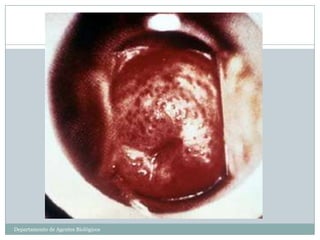 Departamento de Agentes Biológicos
 