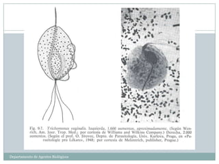 Departamento de Agentes Biológicos
 